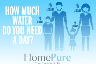 How Much Water Do You Need A Day?