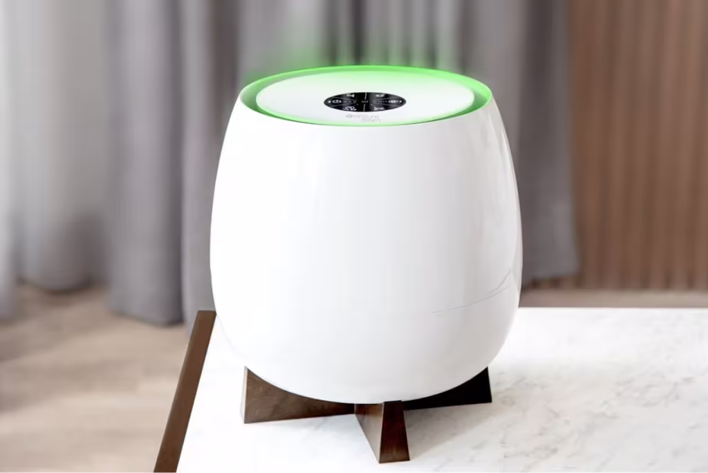 Creating A Healthy Indoor Air Environment For Your Home 2 Healthy Indoor Air Environment For Your Home with AirPure Zayn