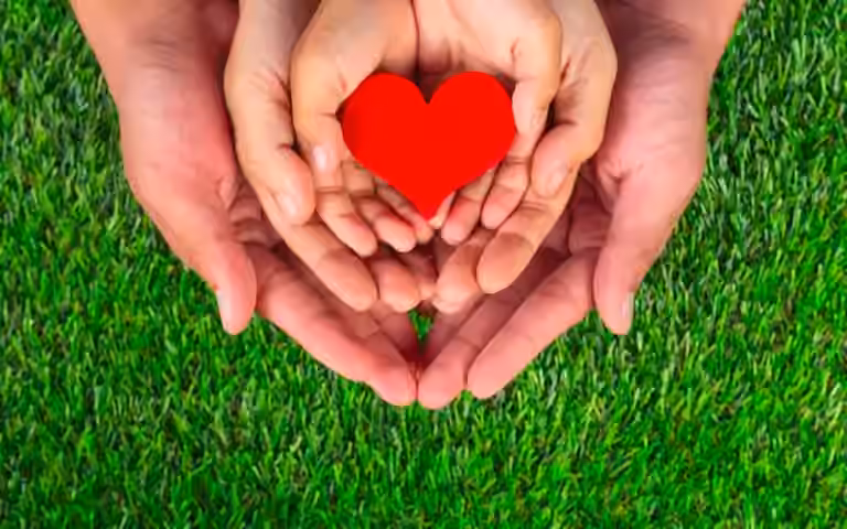 hands holding heart on a green background