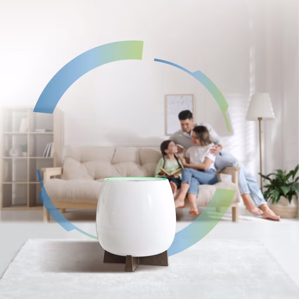 Control The Culprits Of Air Pollution In Your Home 2 QNET