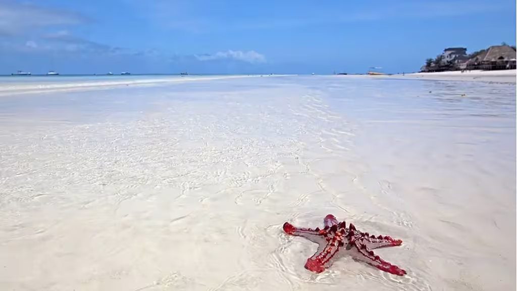 Unwind With These 6 Finest Beach Destinations In Sub-Saharan Africa 4 QNET