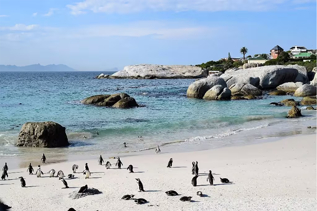 Unwind With These 6 Finest Beach Destinations In Sub-Saharan Africa 7 QNET