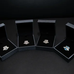 achievers club pins