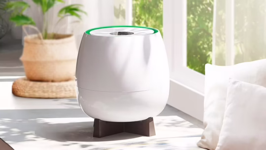 homepure zayn indoor air purifier beside a window